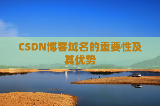 CSDN博客域名的重要性及其优势
